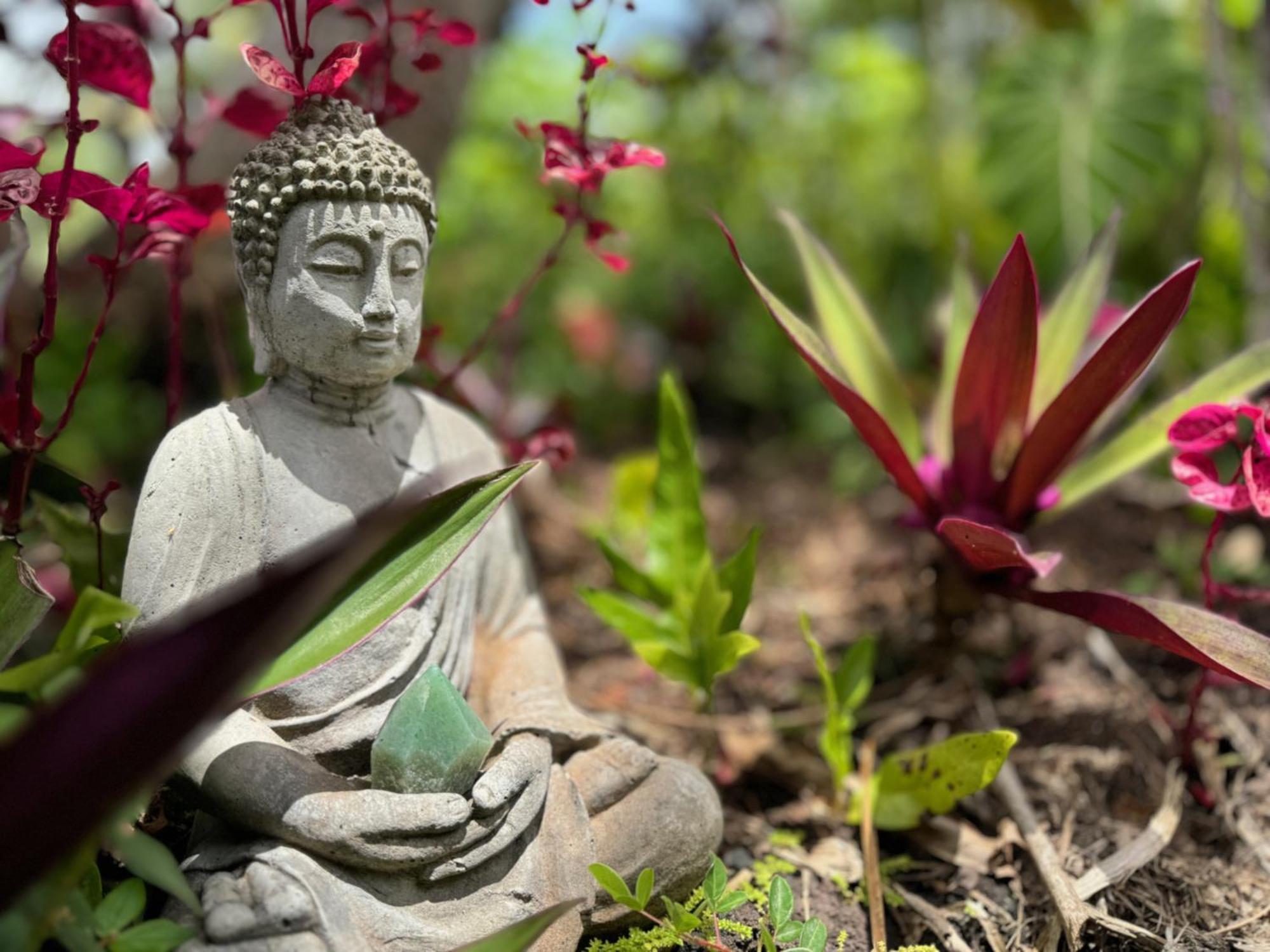 Tropical Zen Bungalow Pahoa Luaran gambar