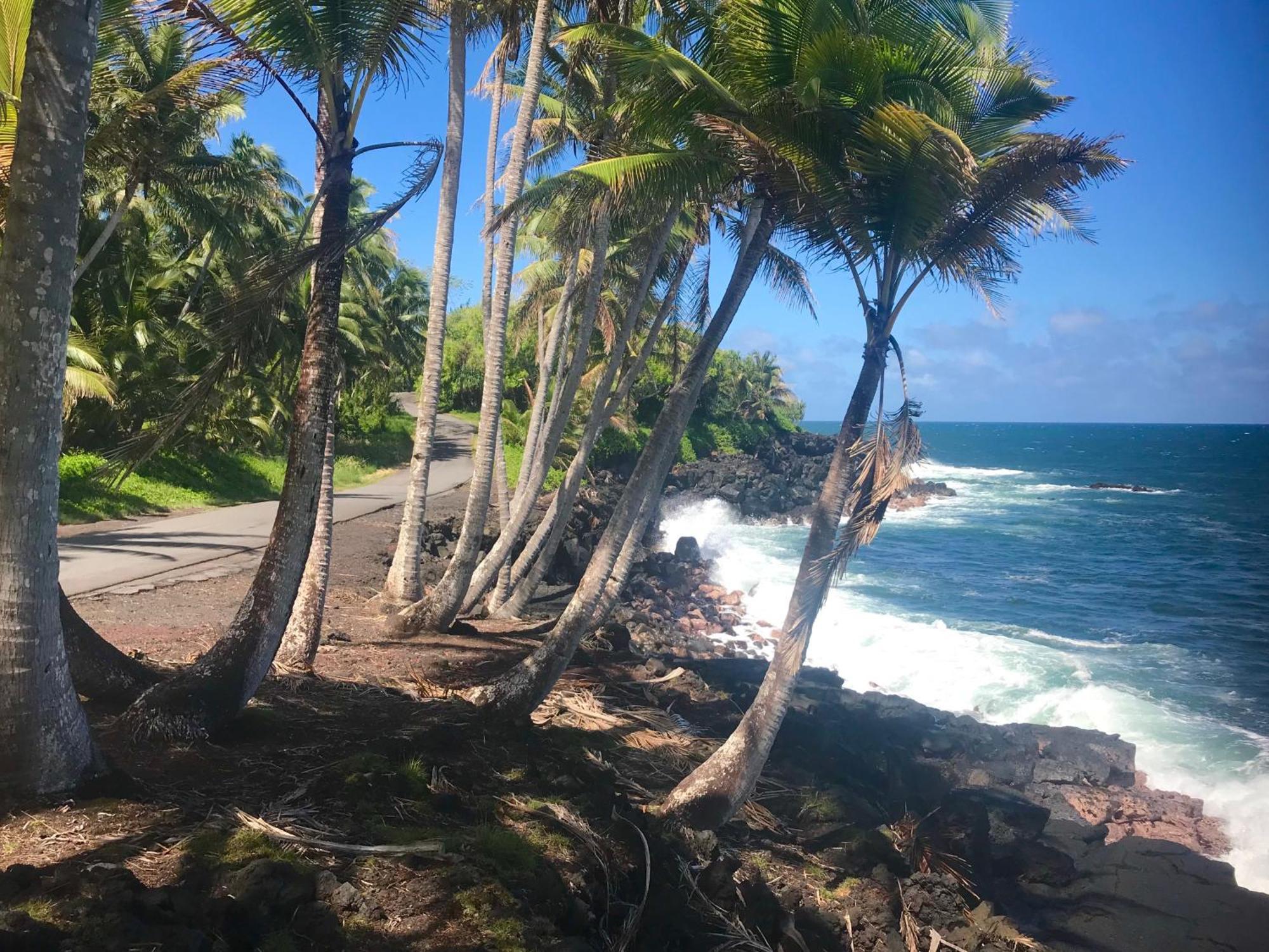 Tropical Zen Bungalow Pahoa Luaran gambar